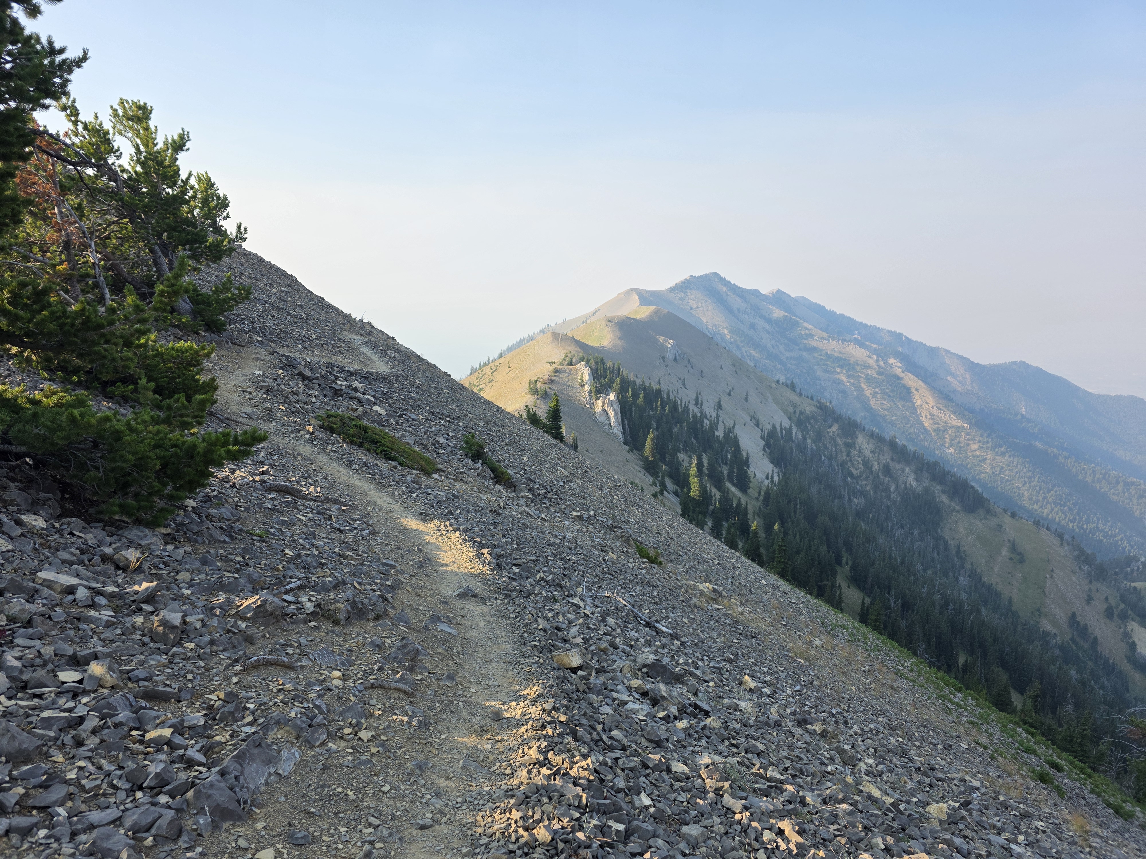 Bridger Ridge Run Course Summary
